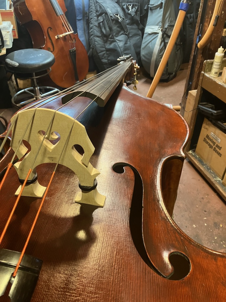 New Bridge Setup for Double Bass